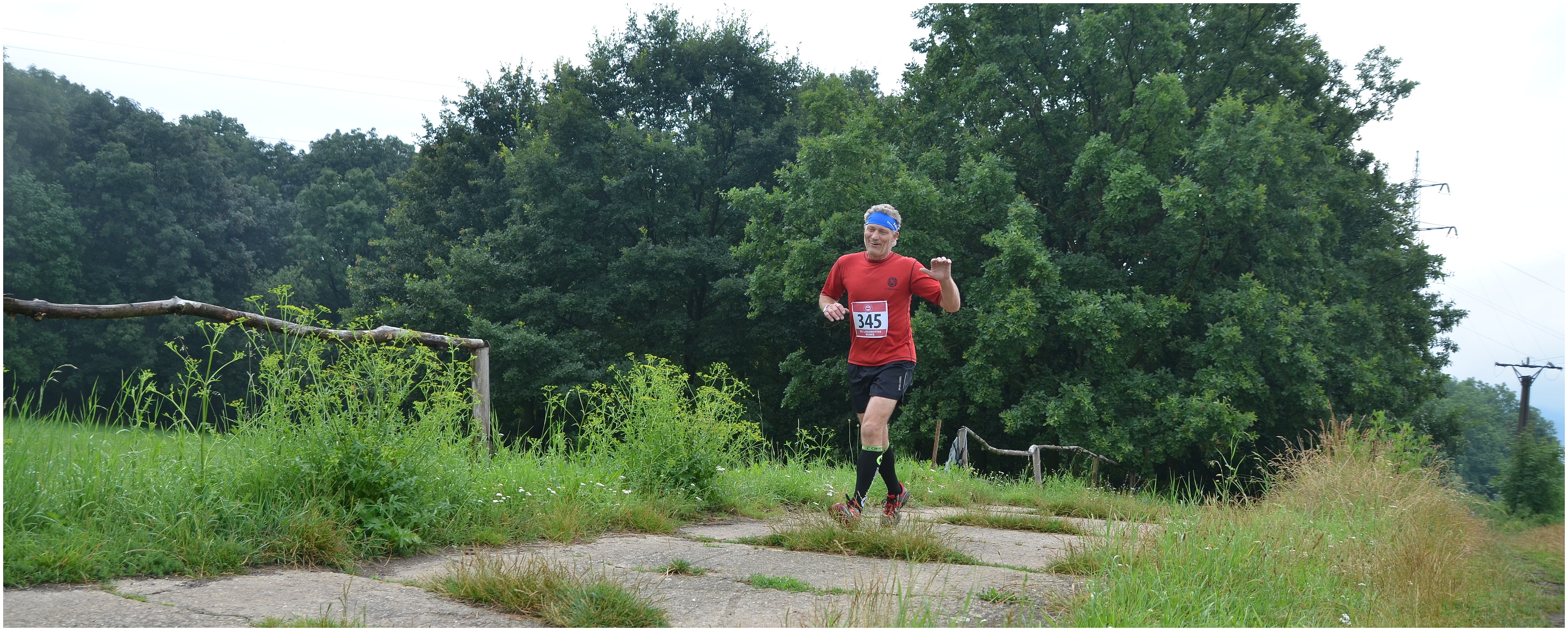 Ani se psem u pasu neporazila Pince