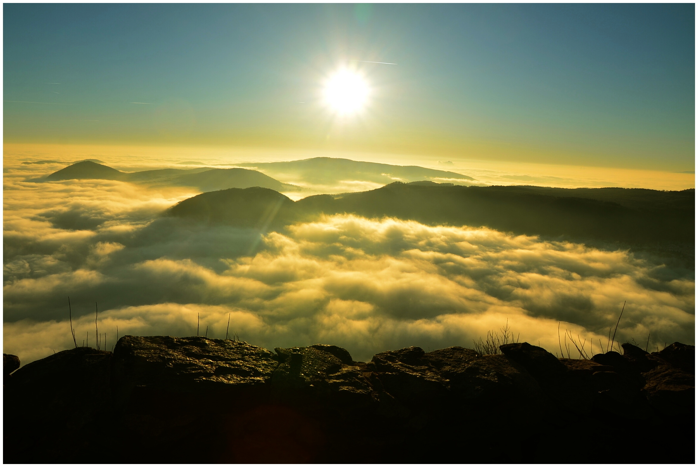 Proč běhají, když nemusí