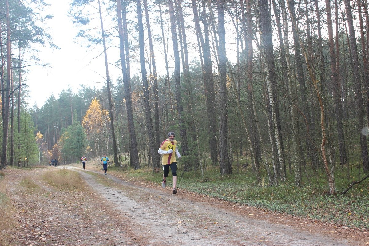 Lednová prima proběhnutí aneb pomalu, ale ne sami